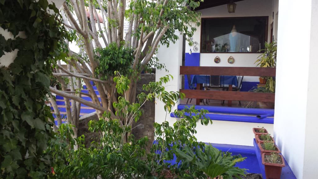Hotel Quinta Los Arrayanes Ensenada Exteriér fotografie
