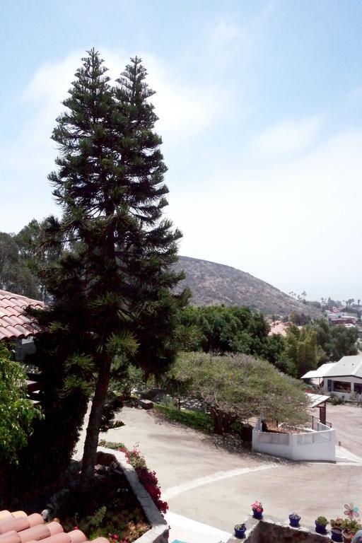 Hotel Quinta Los Arrayanes Ensenada Pokoj fotografie