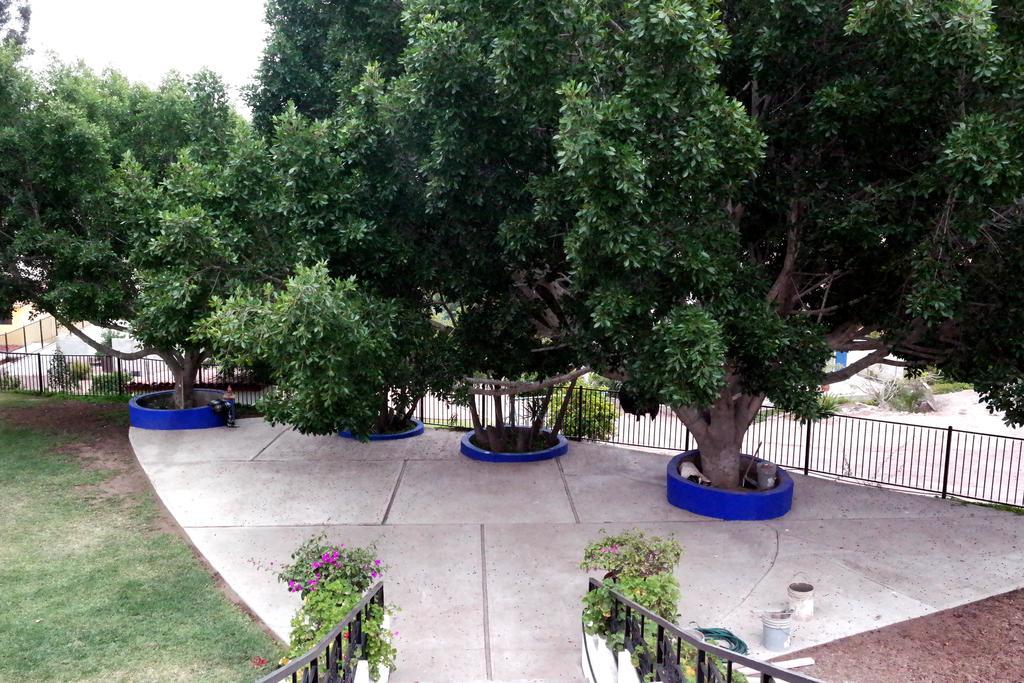 Hotel Quinta Los Arrayanes Ensenada Exteriér fotografie
